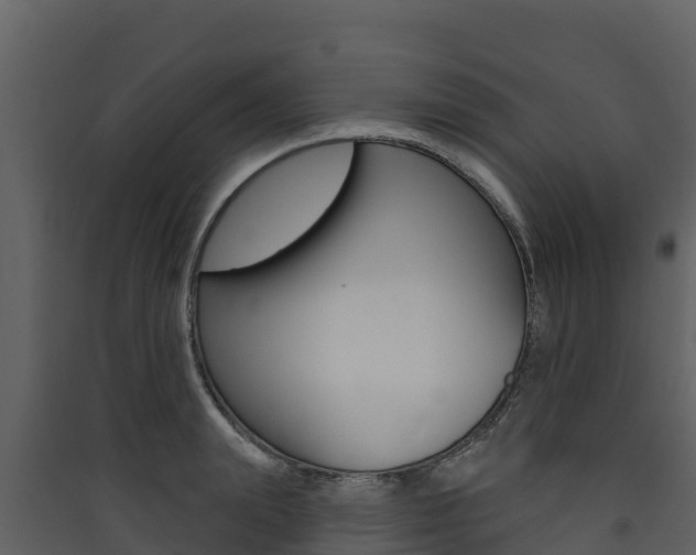 X0000090420847200707130945