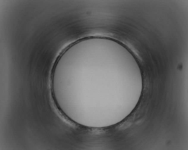 X0000090420848200707130945