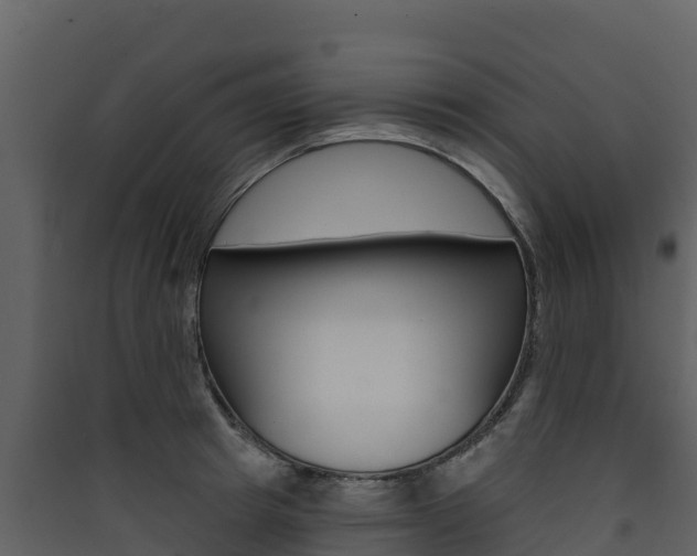 X0000090420849200707130945
