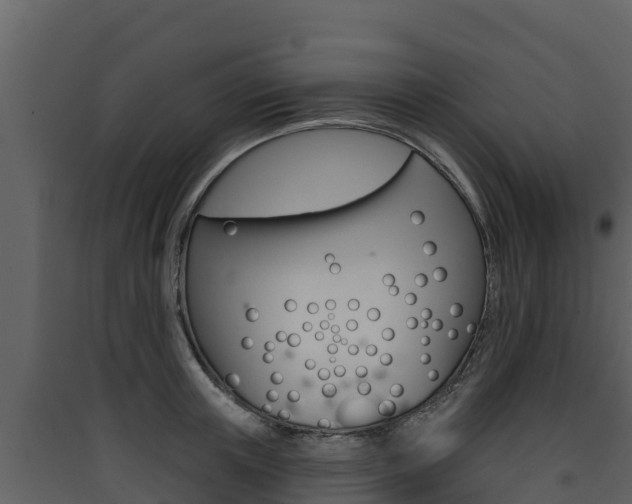 X0000090420851200707130945