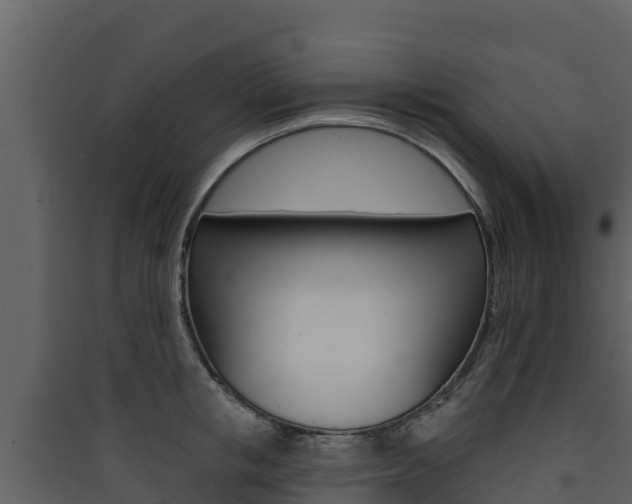 X0000090420853200707130945