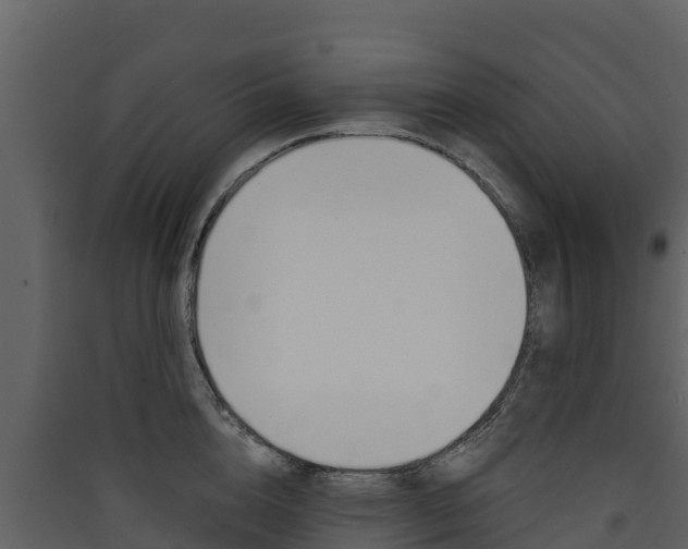 X0000090420856200707130945