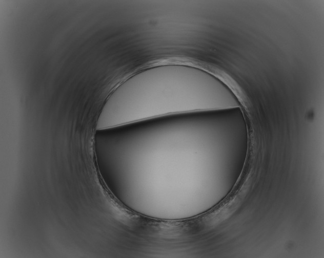 X0000090420857200707130945