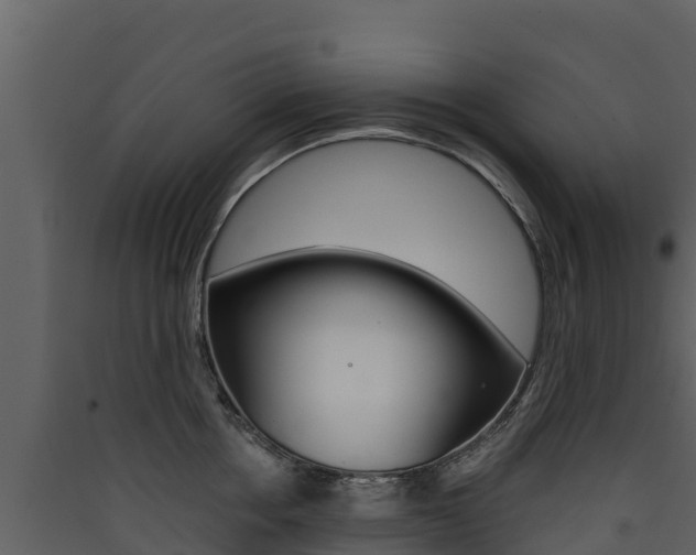 X0000090420858200707130945
