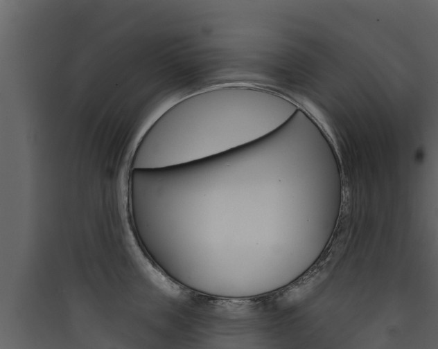 X0000090420859200707130945