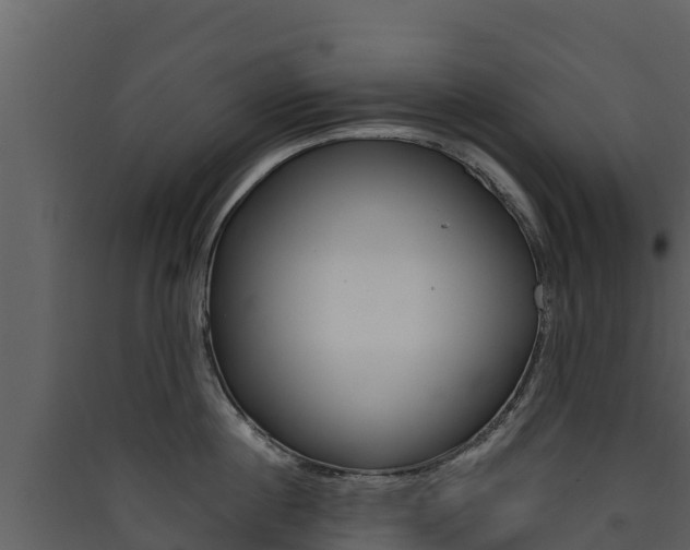 X0000090420860200707130945