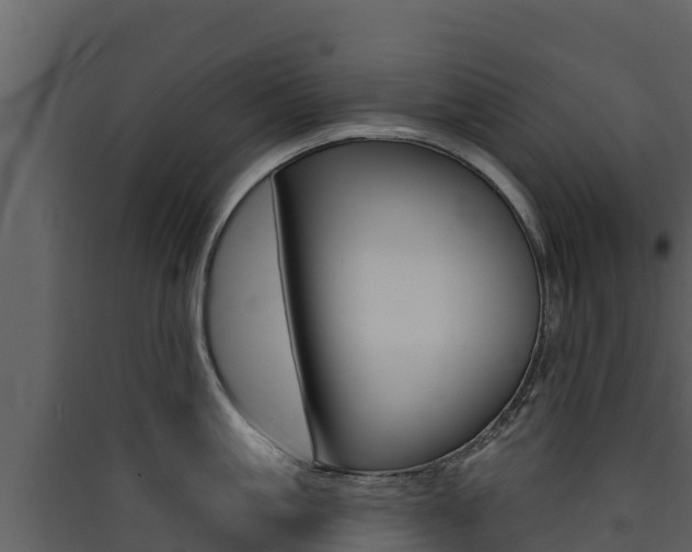X0000090420861200707130945