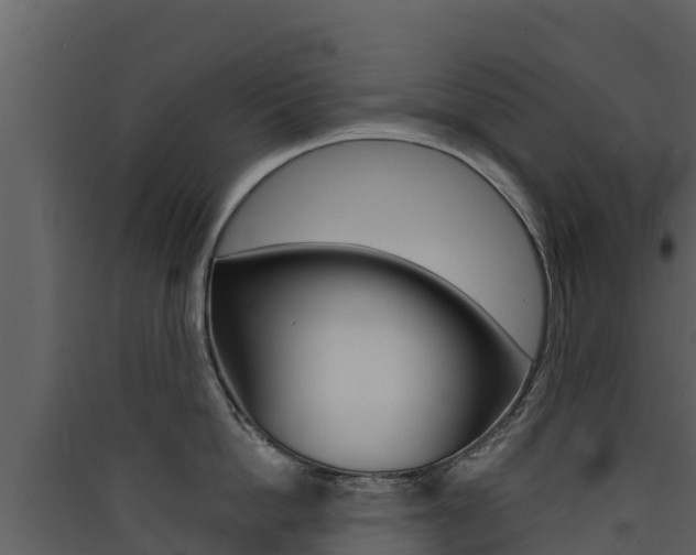X0000090420862200707130945
