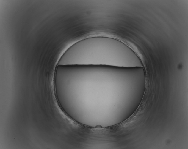 X0000090420863200707130945