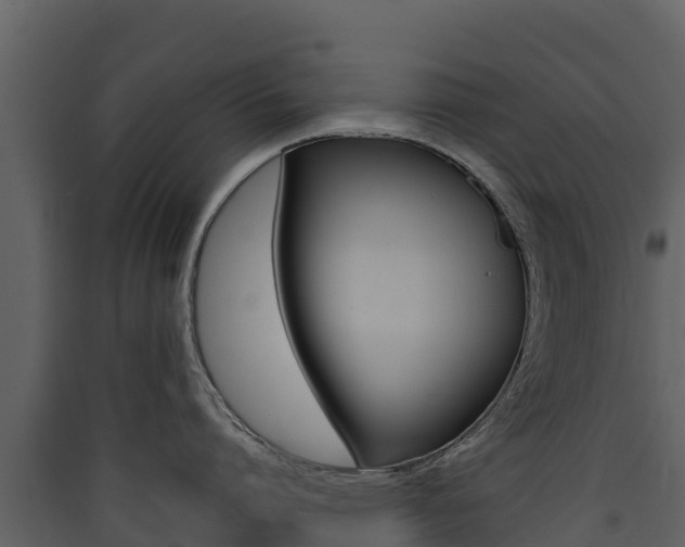 X0000090420864200707130945