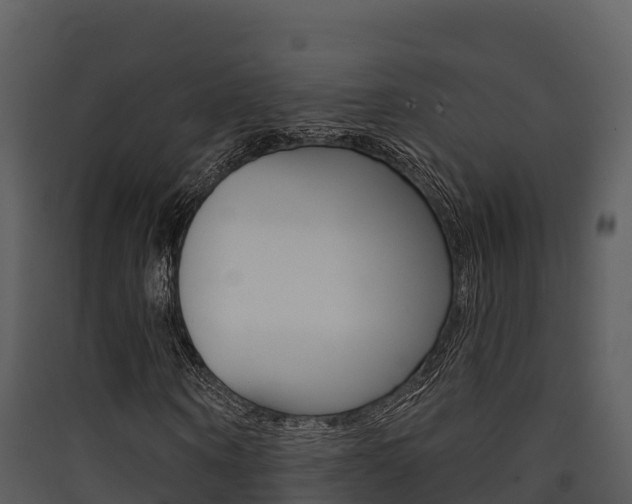 X0000090420866200707130944