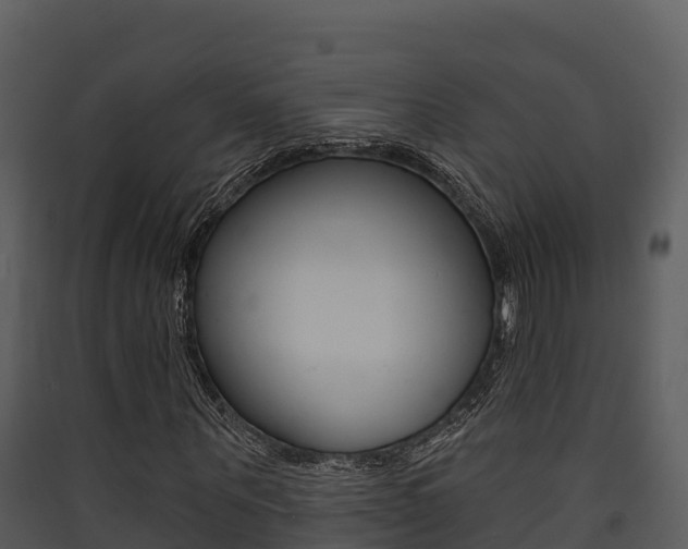 X0000090420867200707130944