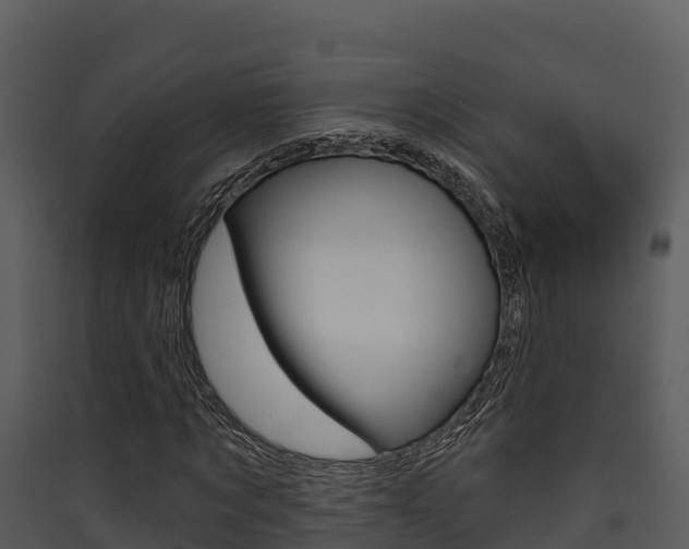 X0000090420869200707130944