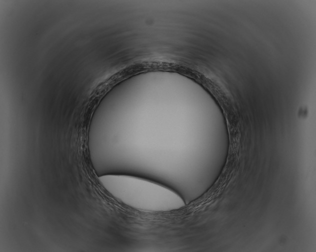 X0000090420870200707130944