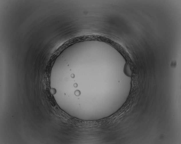 X0000090420871200707130944