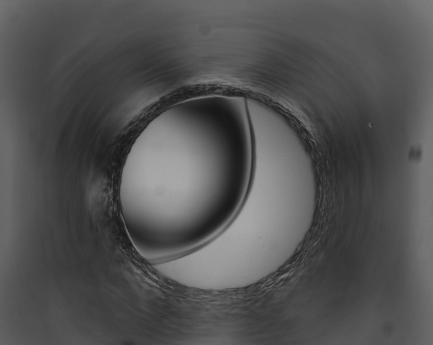 X0000090420872200707130944