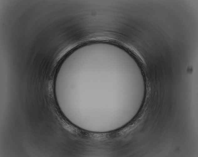 X0000090420874200707130944