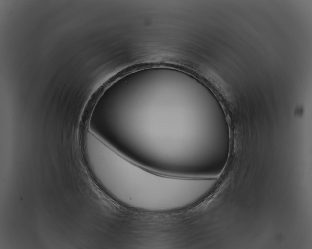 X0000090420876200707130944