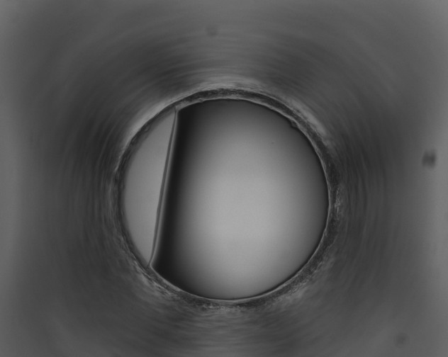 X0000090420877200707130944