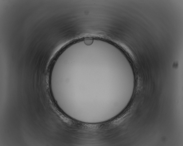 X0000090420878200707130944