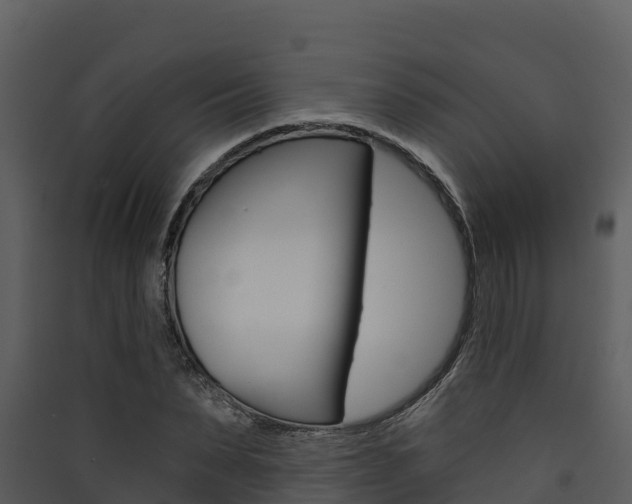 X0000090420879200707130944