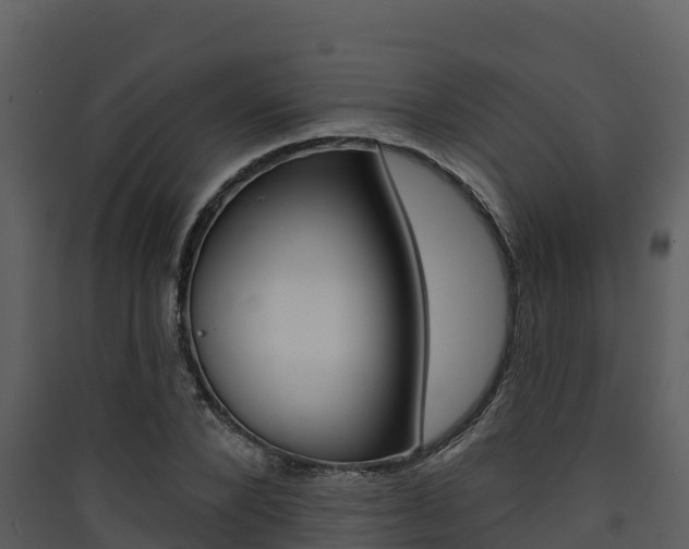 X0000090420880200707130944