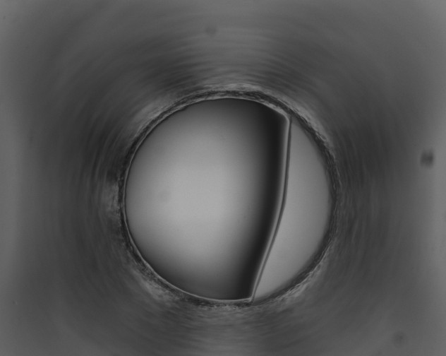 X0000090420881200707130944