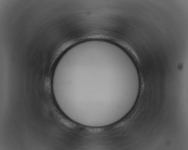 X0000090420882200707130944