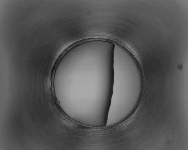 X0000090420883200707130944