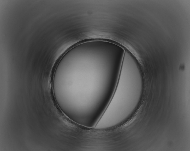 X0000090420885200707130944