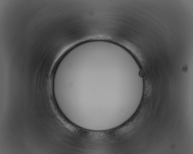 X0000090420886200707130944