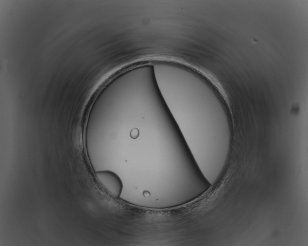 X0000090420887200707130944