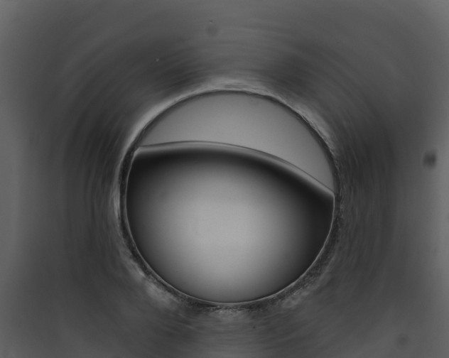 X0000090420888200707130944