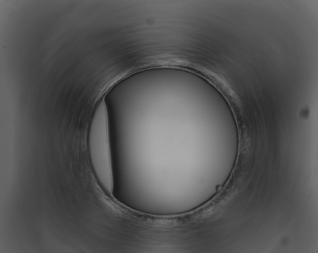 X0000090420889200707130944
