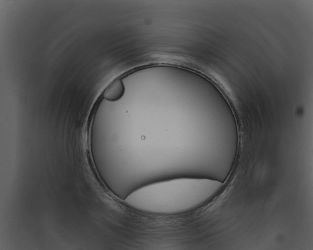 X0000090420891200707130944