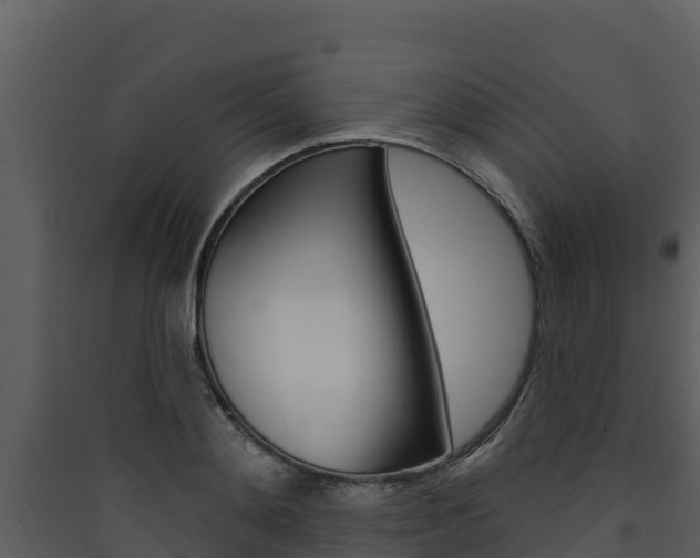 X0000090420892200707130944