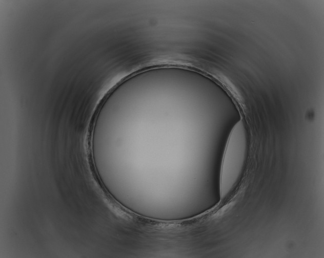 X0000090420893200707130944