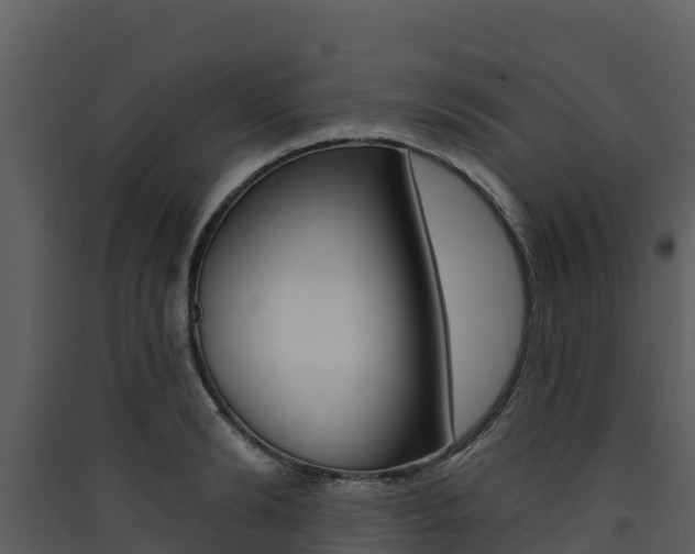 X0000090420894200707130944