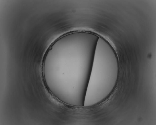 X0000090420895200707130944