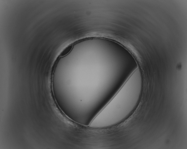 X0000090420896200707130944