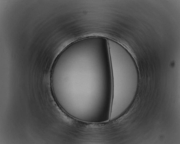 X0000090420898200707130944