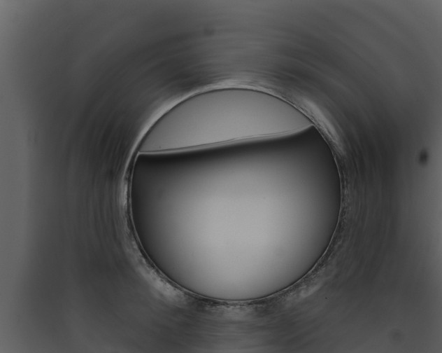 X0000090420900200707130944
