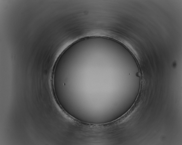 X0000090420901200707130944
