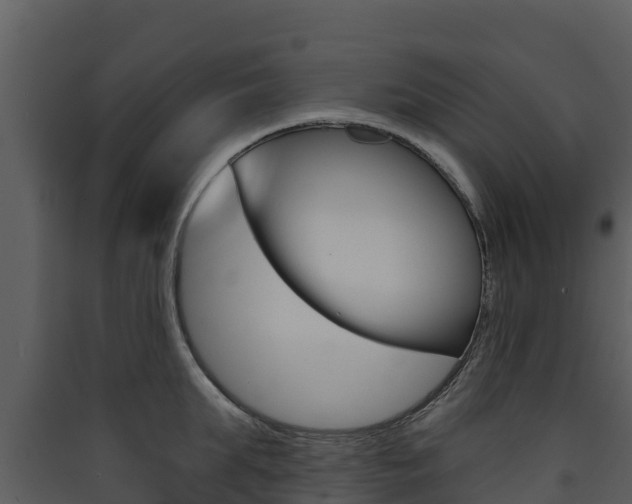 X0000090420903200707130944