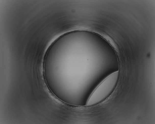 X0000090420904200707130944