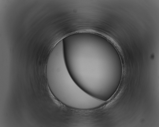 X0000090420905200707130944