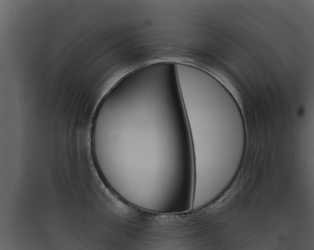 X0000090420906200707130944