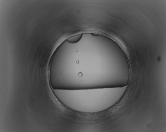 X0000090420907200707130944