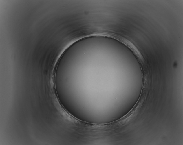 X0000090420908200707130944