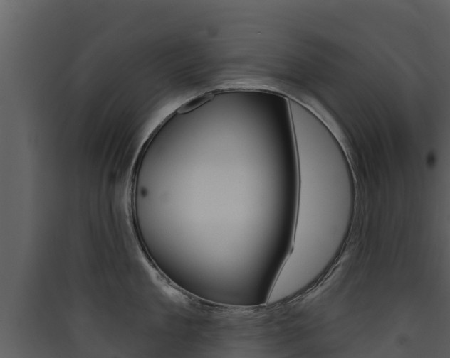 X0000090420909200707130944